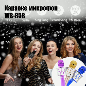 Караоке микрофон Rotosonic WS-858, Безжичен, Вграден високоговорител, Еквалайзер, Акумулаторен