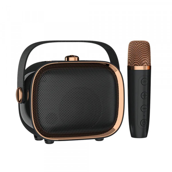 Портативна Bluetooth мощна тонколона NR-138w с 2 микрофона