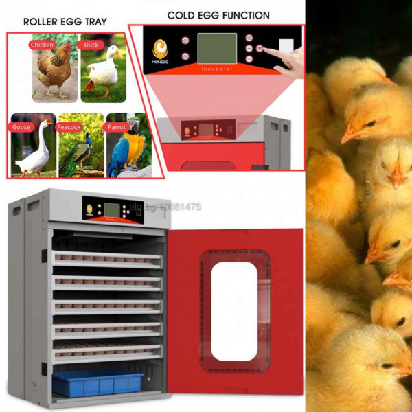 100% автоматичен инкубатор за 400 яйца,  EW-400, контрол на температура, влажност и вентилация