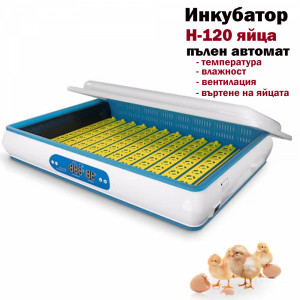 Автоматичен инкубатор за 120 яйца H-120, Автоматичен контролер / HHD / 140 W