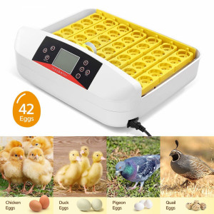 Автоматичен инкубатор EW-42A за 42 яйца, 80W, пълен автомат
