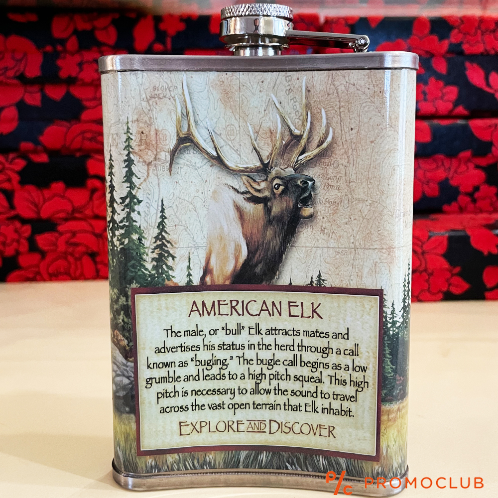 Красиво изрисувана манерка за алкохол AMERICAN EXPEDITION, неръждаема стомана, 266 мл